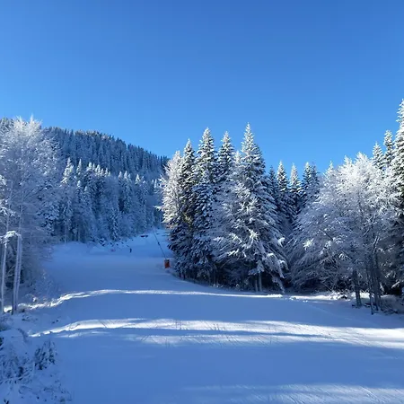 Cozy Ski-to-door Apartment, Monastery 3 Complex Apartament