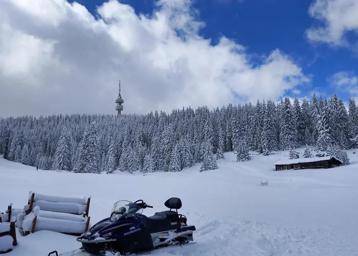 Cozy Ski-to-door Apartment, Monastery 3 Complex * Pamporovo