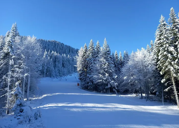 Cozy Ski-to-door Apartment, Monastery 3 Complex Appartement